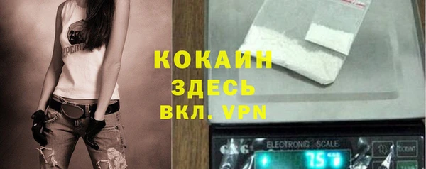 твердый Алексин